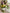 blooming plants, pink, yellow, violet, wrapped flower bouquet, green heart succulent