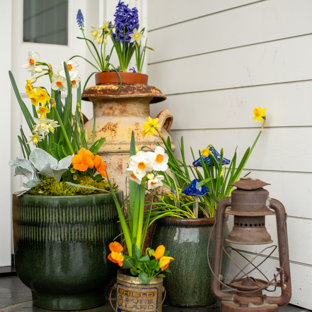 Seasonal Porch Pots Subscriptions
