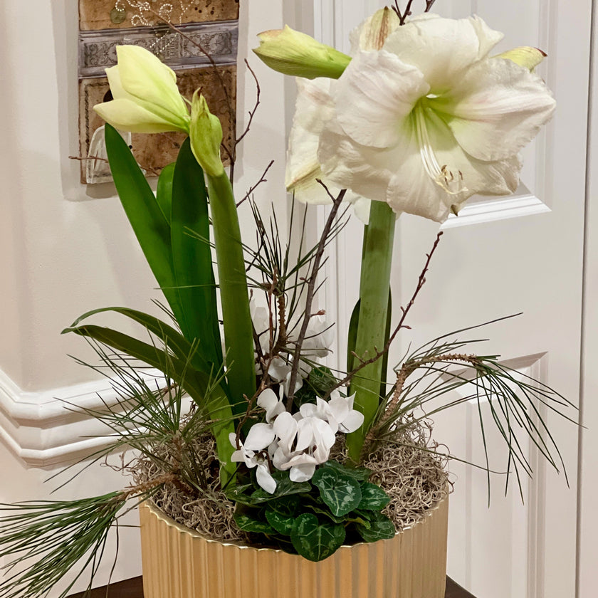 pot-et-fleur arrangement