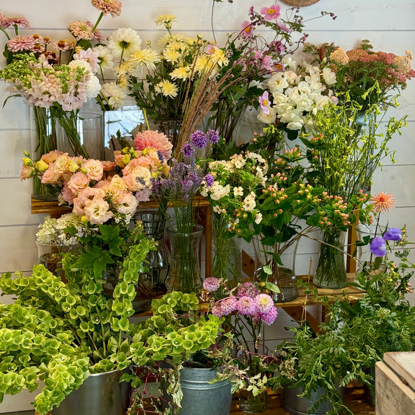 A large, vibrant collection of various colorful flowers and green foliage displayed on rustic wooden shelves in a shop setting against a white shiplap wall.