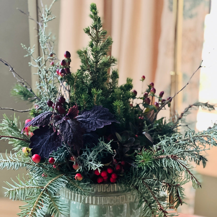 holiday pot-et-fleur