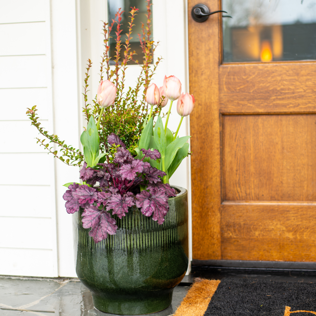 seasonal designer outdoor planted pots with green pot