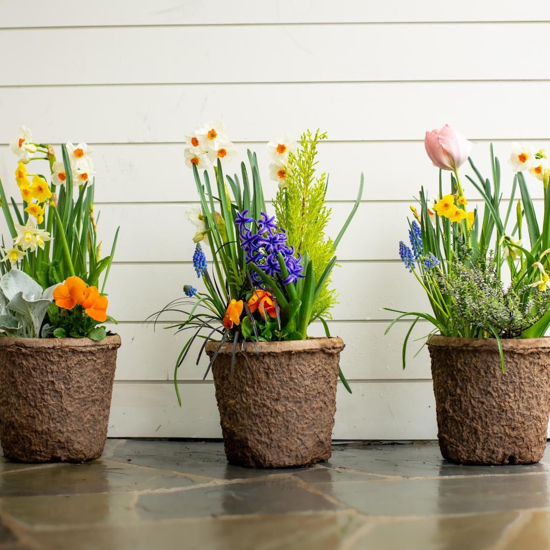 Outdoor Pot Inserts – Planted & Ready!
