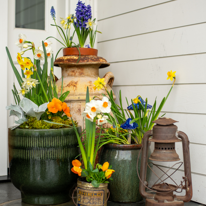 vintage garden accounts with potted plants